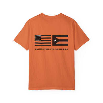 Puerto Rico Flag T-Shirt — United States to Puerto Rico Graphic Tee